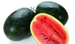 红料吃瓜爆料最新进展视频,最新进展视频深度解析